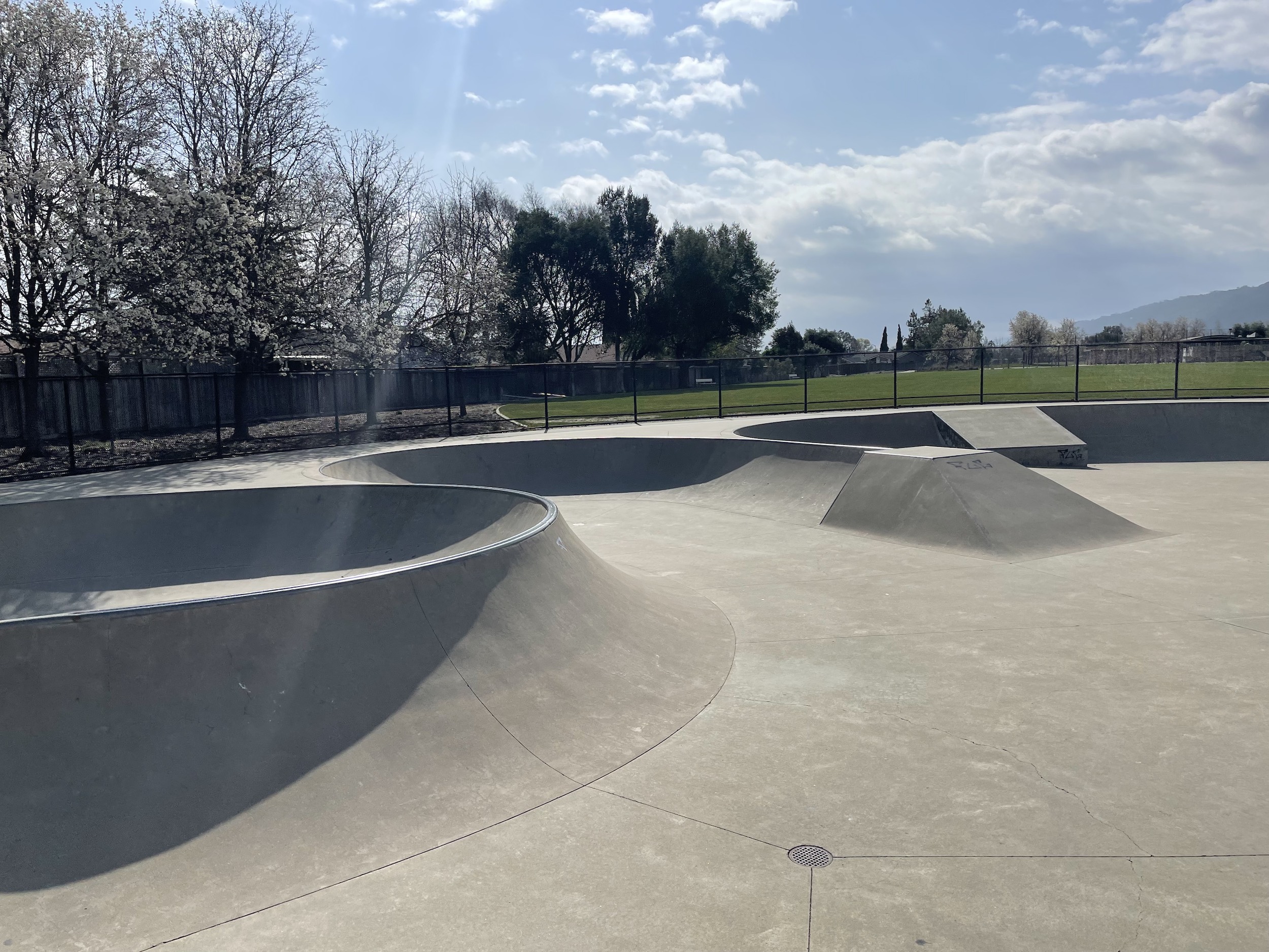 Pleasanton skatepark